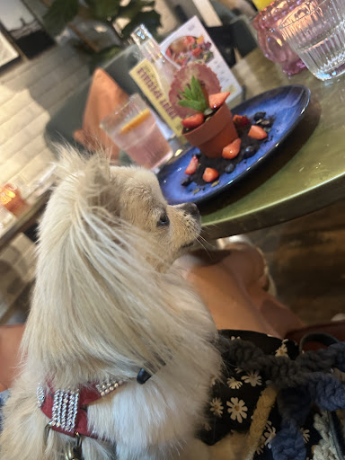 Photo of Bill’s St Albans Restaurant - 2 Chequer St, St Albans AL1 3XZ